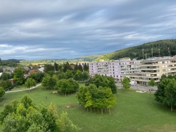 Freitag