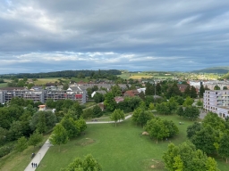 Freitag